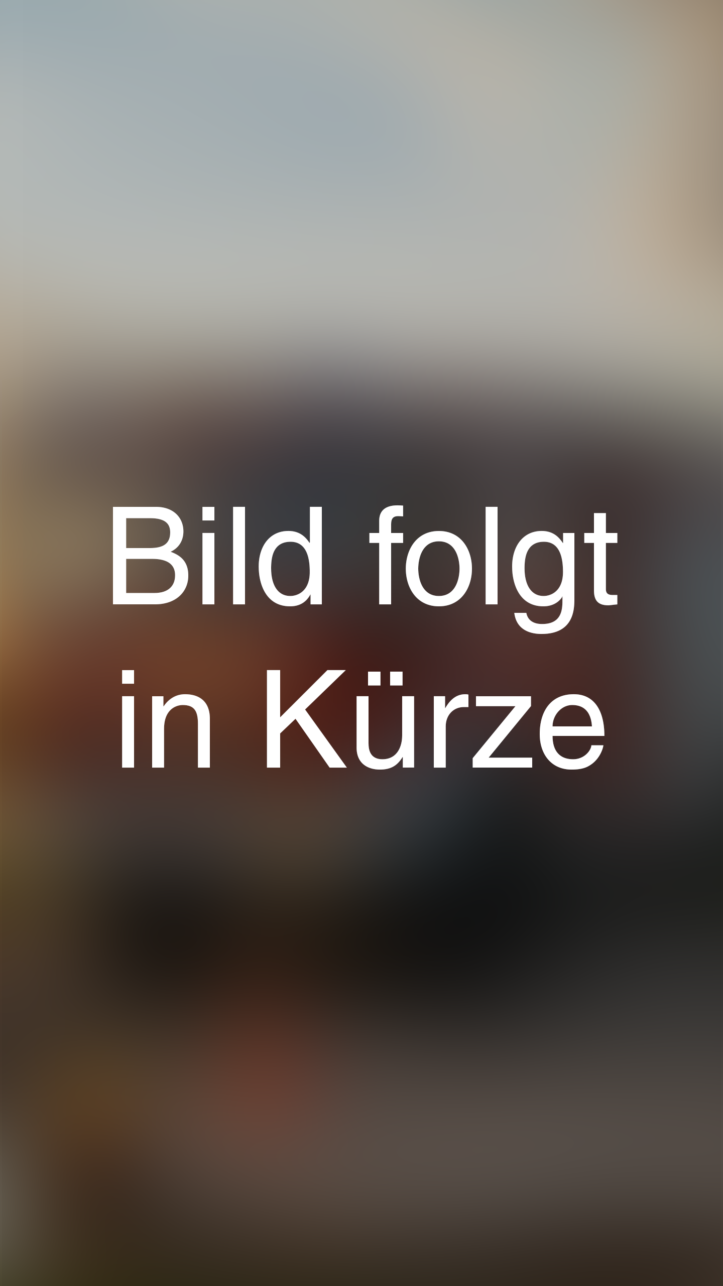 Bild-Folgt